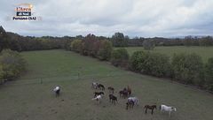 Puntata del 7 dicembre