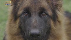 Puntata del 14 dicembre