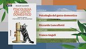 Il Can-Piello