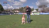 L'Educa-cani