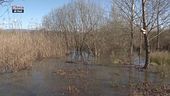 Riserva Naturale Lago di Sibolla