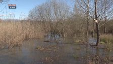 Riserva Naturale Lago di Sibolla