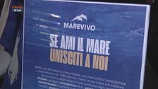 Sos Parthenope