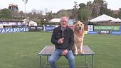 L'Educa-cani