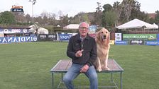 L'Educa-cani