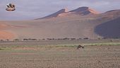 Safari responsabile - Terza parte