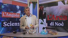 L'angolo della Scienza