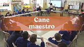 Cane maestro