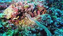 La salvaguardia degli habitat