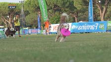 L'Educa-cani