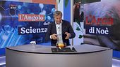 L'angolo della scienza