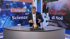 L'angolo della scienza