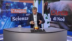 L'angolo della scienza