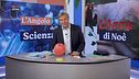 L'angolo della scienza: il geco
