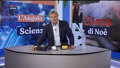 L'angolo della scienza