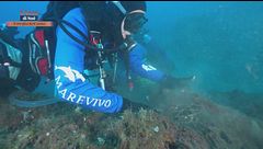 Le iniziative di Marevivo