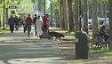 Dove trovare un pet sitter?