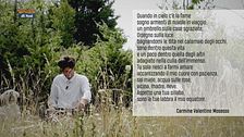 Il poeta contadino