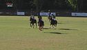Cavallo atleta