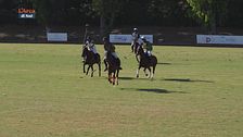 Cavallo atleta