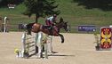 Cavallo atleta