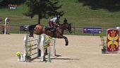 Cavallo atleta