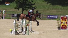 Cavallo atleta