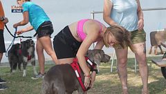 L'educa-cani: cani cross