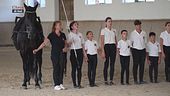 Cavallo atleta