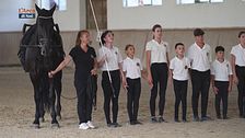 Cavallo atleta