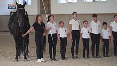Cavallo atleta