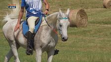 Cavallo atleta