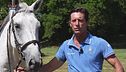 Cavallo atleta