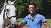 Cavallo atleta