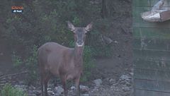 Contare per conservare