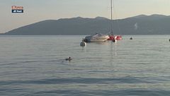 SpeciAli: lo smergo maggiore