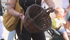 L'arte di intrecciare