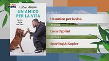 Il Can-piello