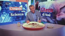 L'angolo della Scienza