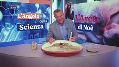 L'angolo della Scienza