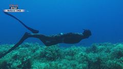 L'isola che non c'è