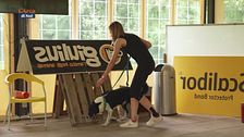 L'educa cani: il nosework sportivo
