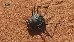 L'angolo della scienza