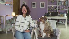 Una toelettatura a regola d'arte