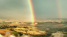 Fileni: rispetto per la terra e gli animali
