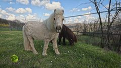 Puntata del 27 aprile