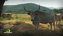 Puntata del 14 settembre