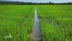 Puntata del 21 settembre