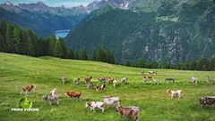 Puntata del 28 settembre