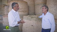 Puntata del 19 ottobre